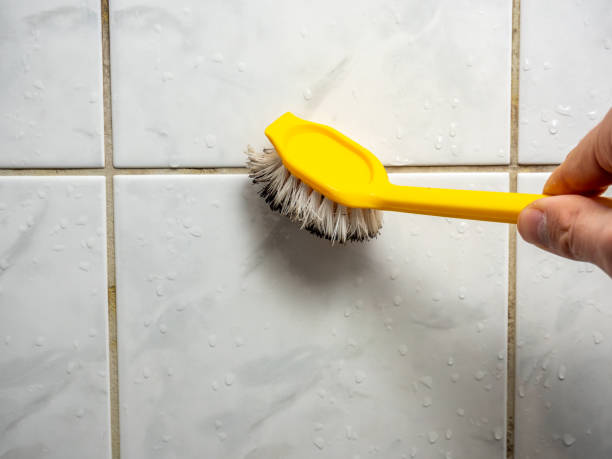 Best Mold Damage Repair  in Absecon, NJ
