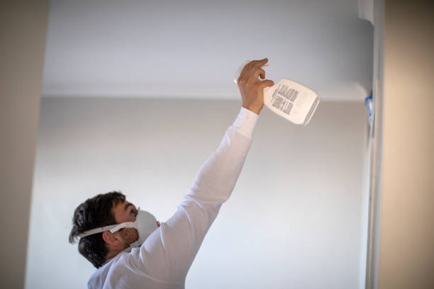 Best Home Mold Removal  in Absecon, NJ