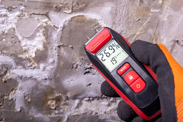 Best Commercial Mold Removal  in Absecon, NJ
