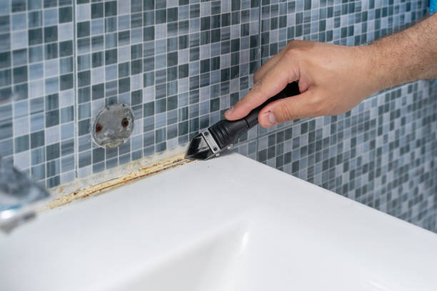 Best Same-Day Mold Removal  in Absecon, NJ