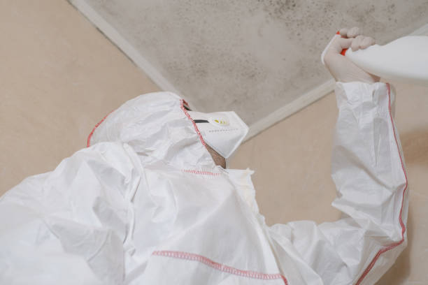 Best Crawl Space Mold Removal  in Absecon, NJ